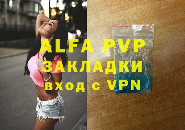 дмт Инта