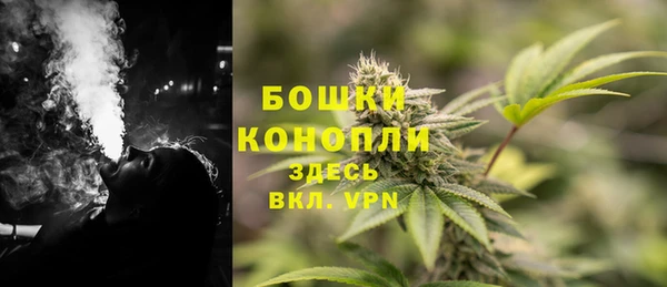 гидра Иннополис