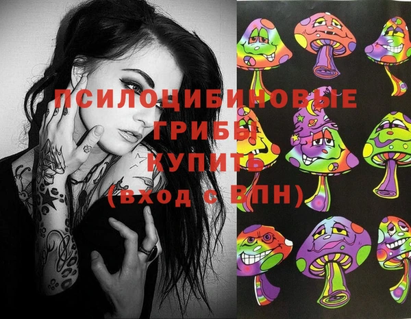 гидра Иннополис