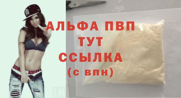 молекула духа Каменск-Шахтинский