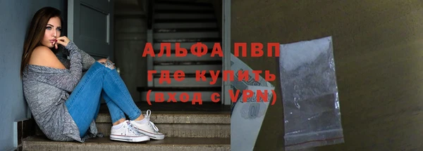 дмт Инта