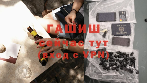дмт Инта
