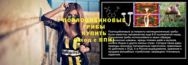 гидра Иннополис