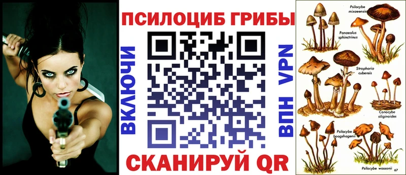 Купить где  Дорогобуж  Псилоцибиновые грибы MAGIC MUSHROOMS 