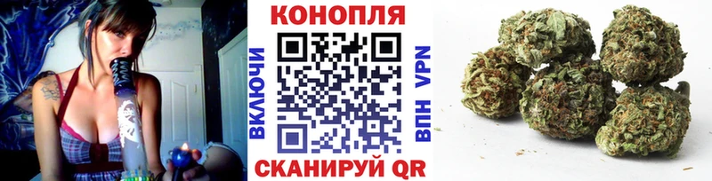 Купить закладки  Дорогобуж  Канабис семена 